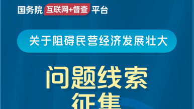 黄色在线观看插操国务院“互联网+督查”平台公开征集阻碍民营经济发展壮大问题线索